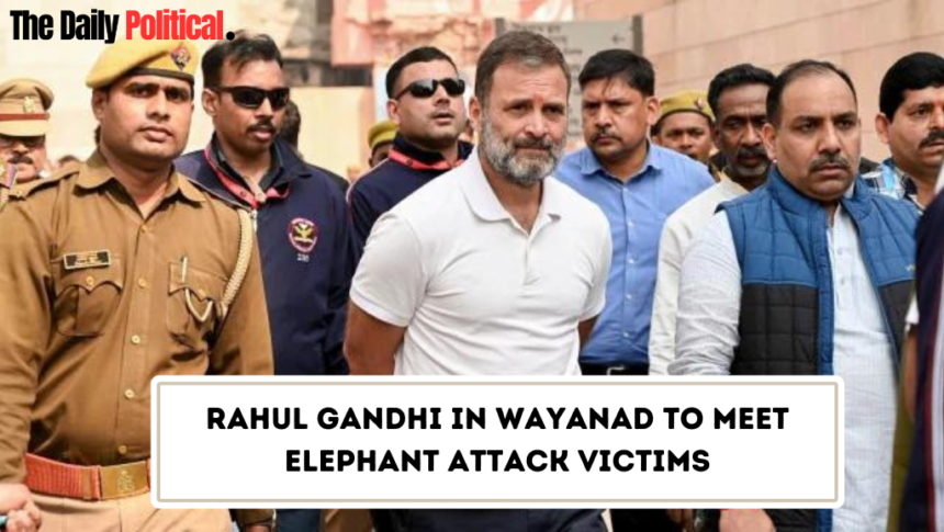 Rahul Gandhi in wayanad to meet elephant attack victims